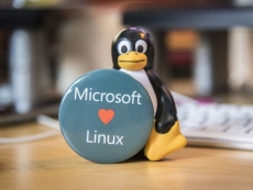 Microsoft builds own Linux kernel