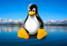 Linux update brings Skylake