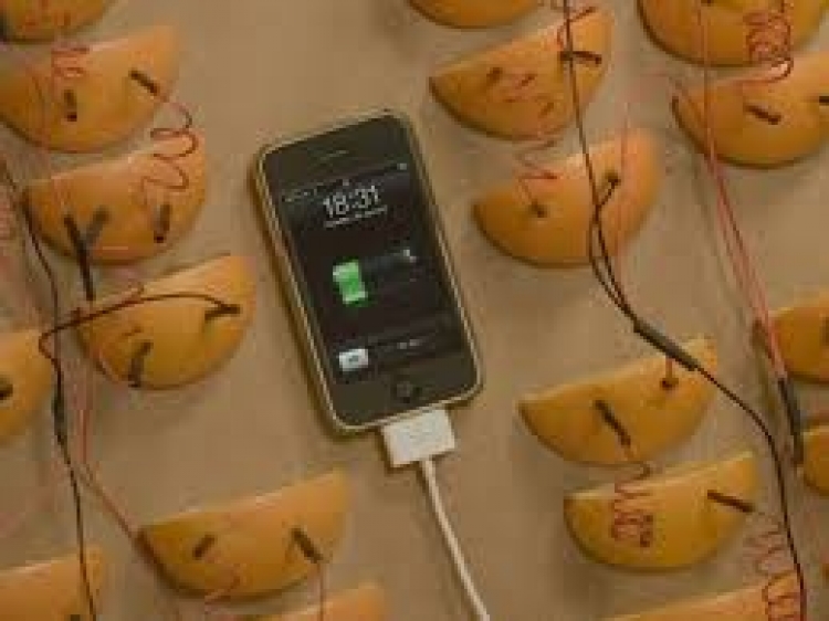 Телефон зарядка нету. Электричество из овощей и фруктов. Лайфхак для зарядки телефона. Электроэнергия из овощей и фруктов. Зарядка из картошки для телефона.
