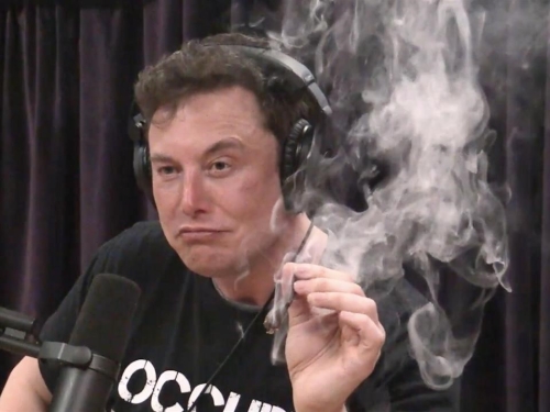 Elon on the edge