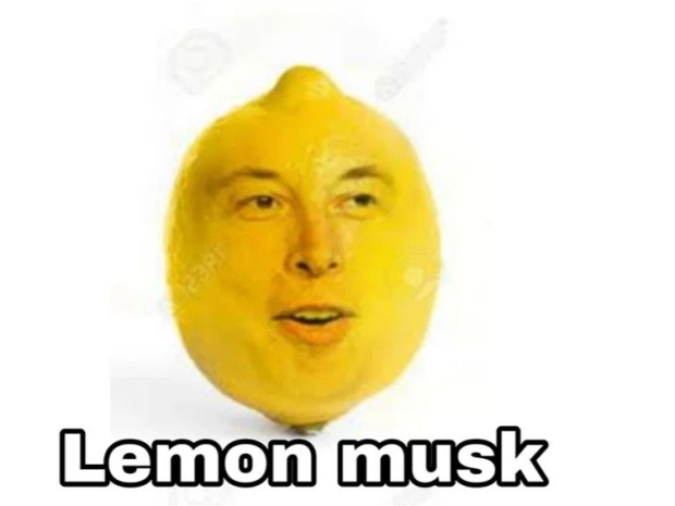 Has Musk bought a lemon?