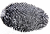 Google back to digital fingerprinting