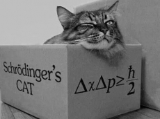 Uranium ditelluride could create better “cat friendly” quantum chips