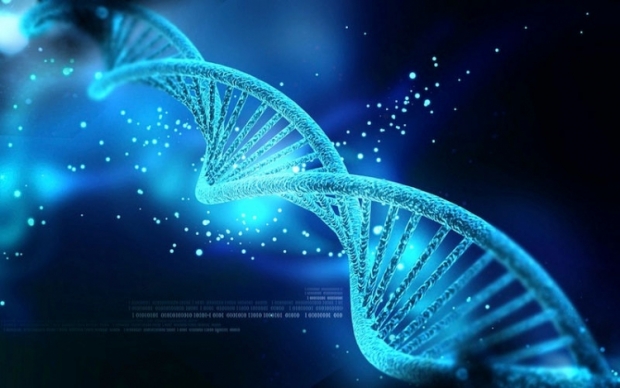 Boffins turn DNA into biocomputer