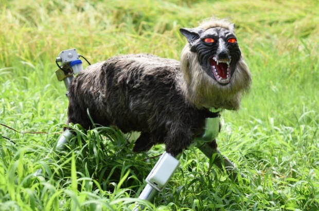 Japanese city brings in robot wolves to fight bears