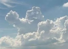 Nuvias UC cashes out of boxes so it can chase cloud money