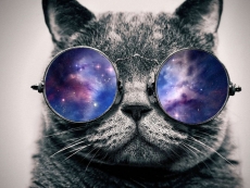 China puts quantum cats in space