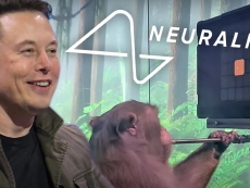 Musk’s animal-research oversight board stacked with company insiders