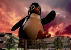 The rise of the Linux botnets