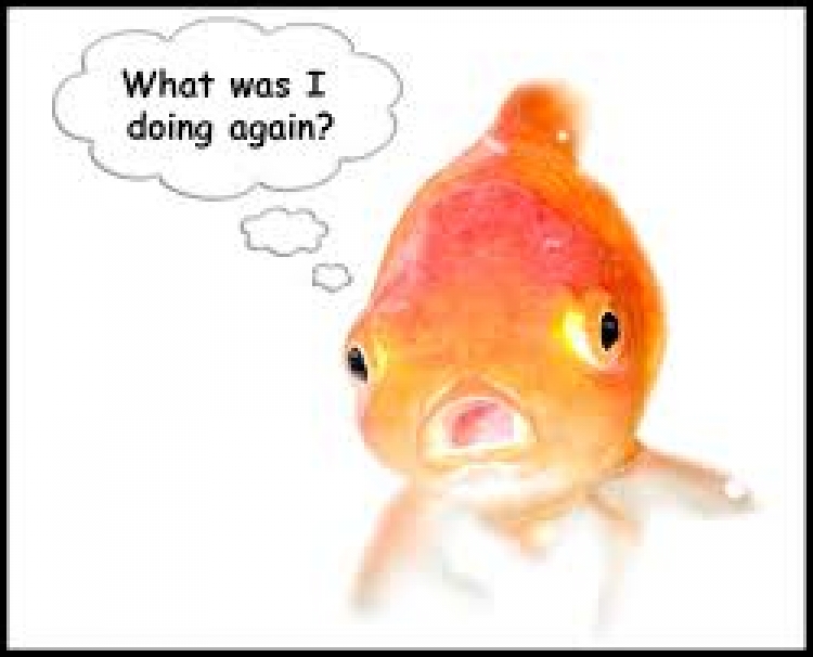 Smartphone users have the attention span of a goldfish