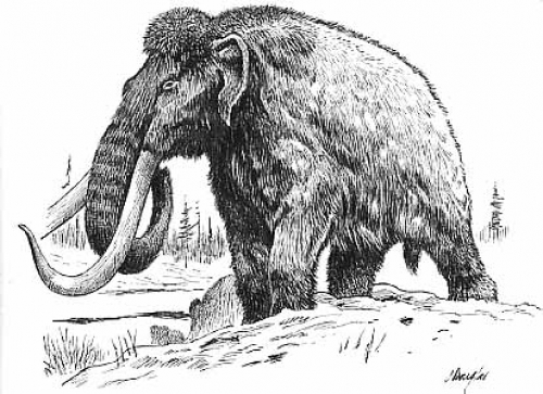 MariaDB buys a Bulgarian Mammoth