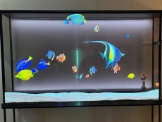 LG shows off the world&#039;s first wireless see-through TV