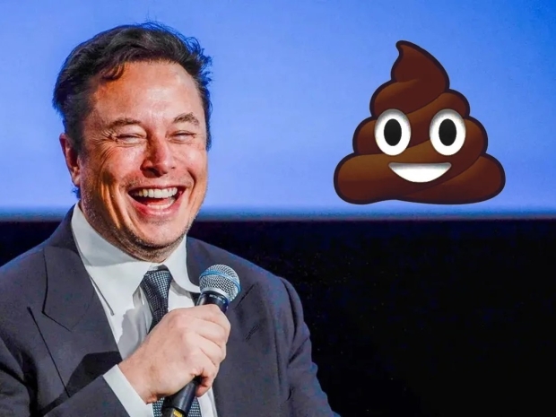 Musk claims to developing his own AI
