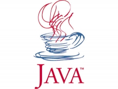 Oracle puts the squeeze on Java business users