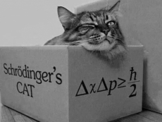 Software improvements keep quantum cats at bay