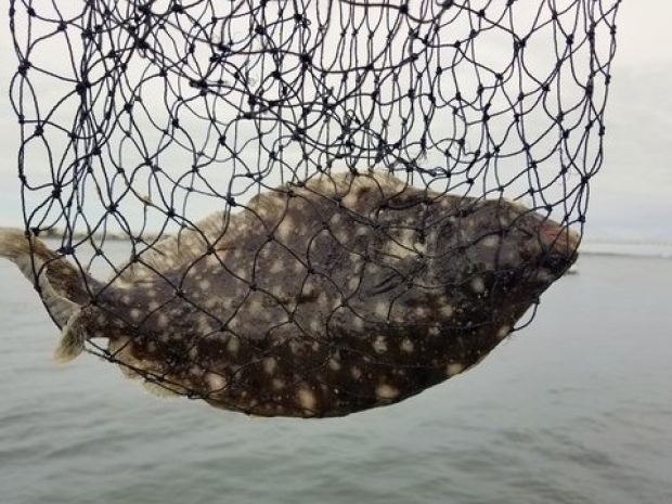 Healthcare GenAI strategies flounder